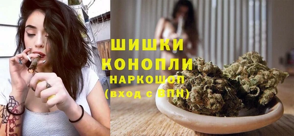 шишки Алексеевка
