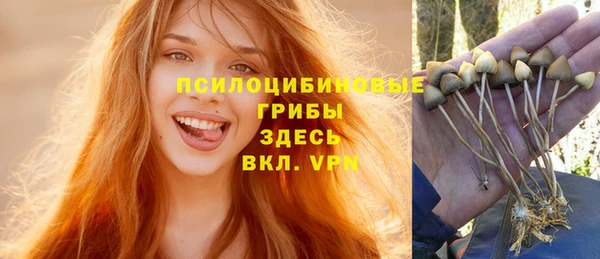 2c-b Алексин
